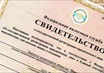 Что такое ООО и индивидуальный предприниматель?
